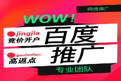 成功案例解析：SEM托管公司服务优势