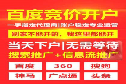 SEM竞价优化实战经验分享：成功案例背后的秘密